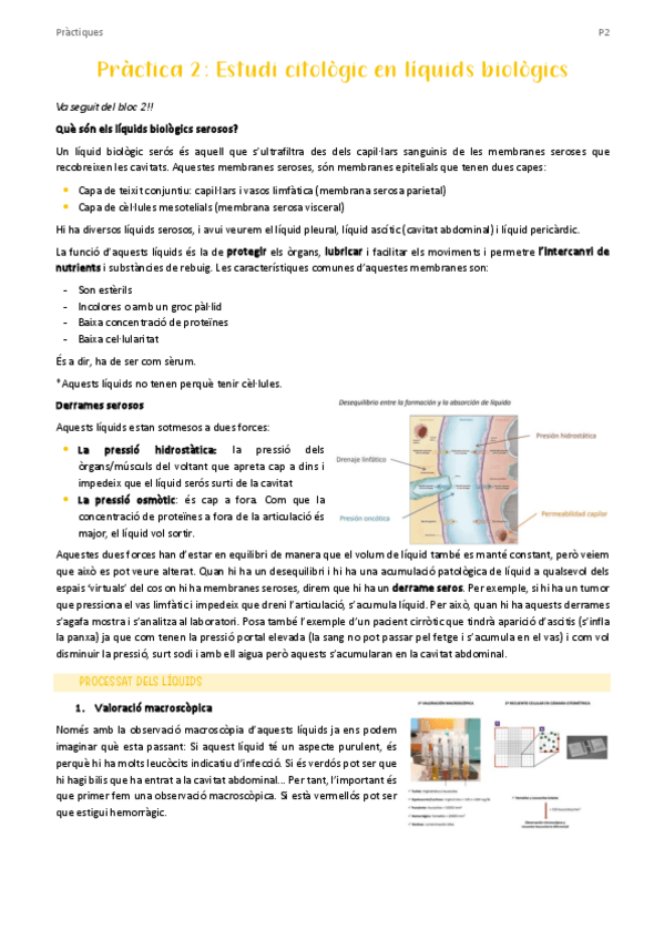 Miniatura del documento PRACTICA-2.pdf