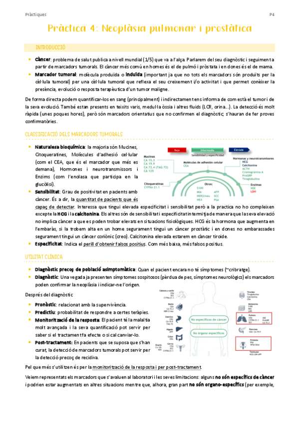 Miniatura del documento PRACTICA-4.pdf