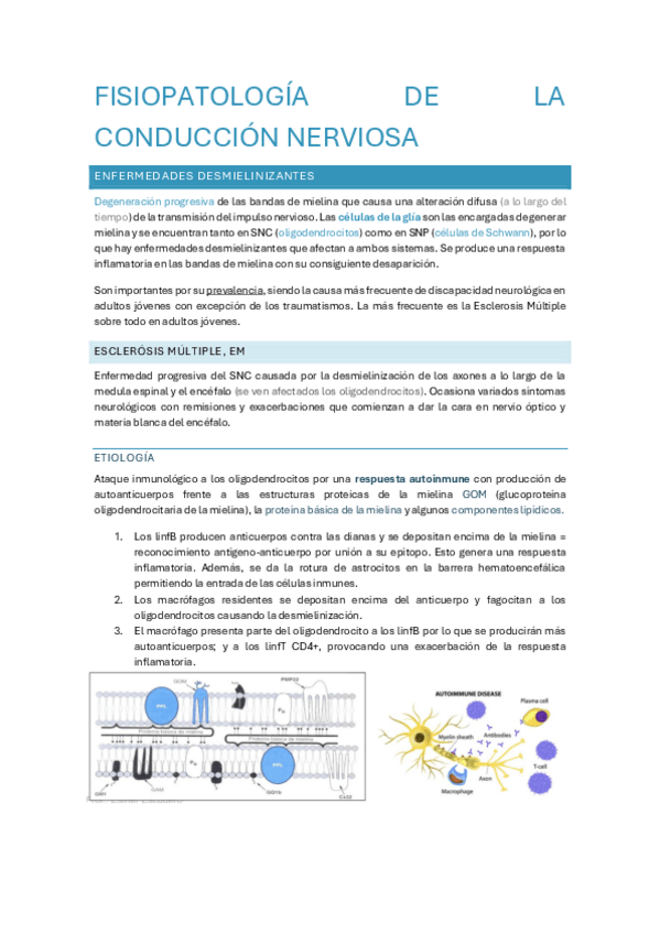 Miniatura del documento Sistema-nervioso.pdf