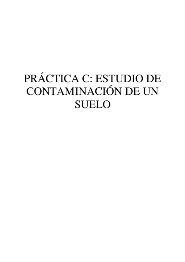 Miniatura del documento Informe-C.pdf