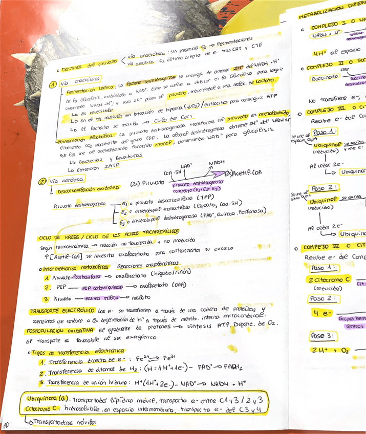 Miniatura del documento 10-18.pdf