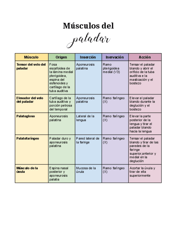 Miniatura del documento Musculos-del-paladar.pdf