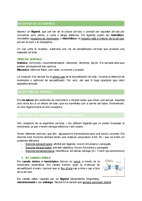Miniatura del documento T5-RECEPTORS-DE-SENYALS.pdf