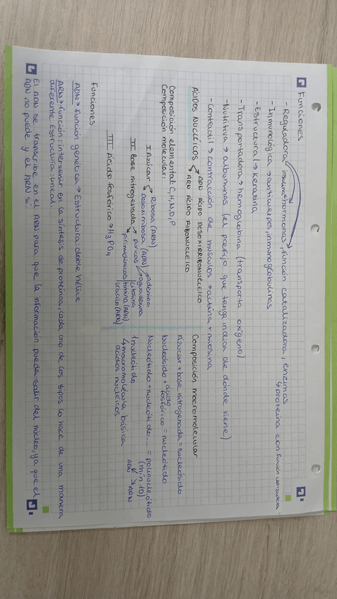 Miniatura del documento Funciones-proteinasacidos-nucleicos.jpg