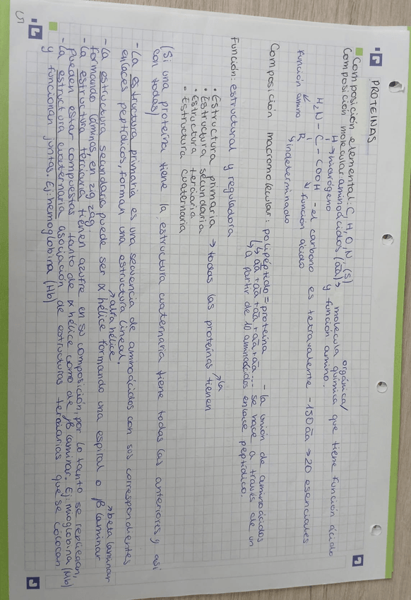 Miniatura del documento Proteinas.jpg