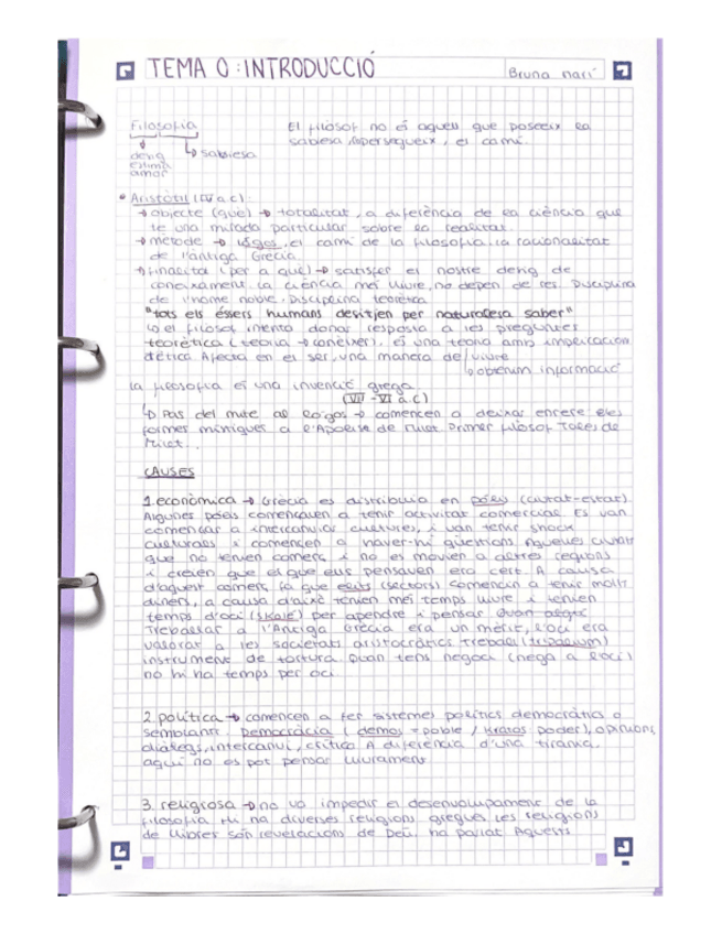 Miniatura del documento T0-Introduccio.pdf