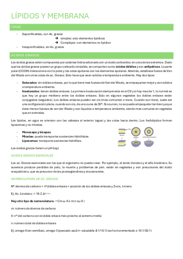 Miniatura del documento Tema-3.-Lipidos-Tema-11.-Ciclo-de-Krebs.pdf