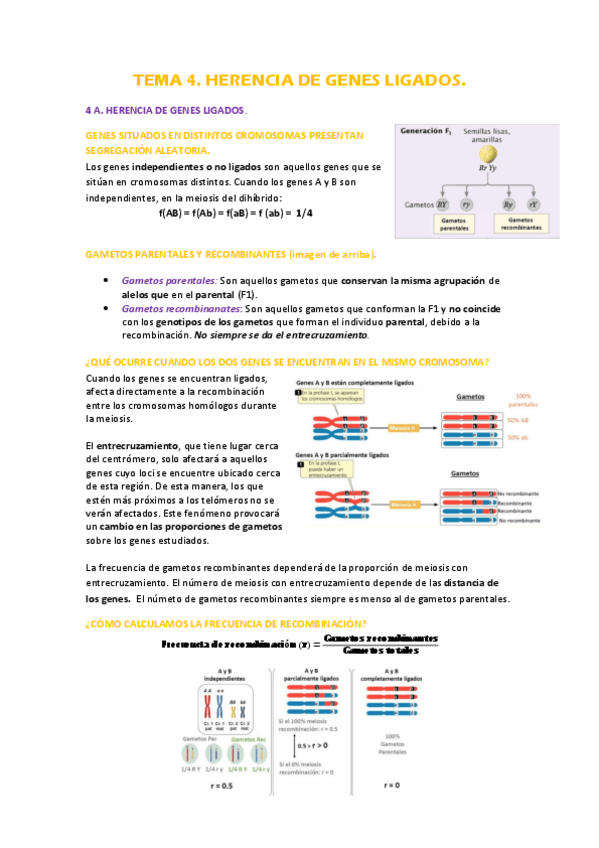 Miniatura del documento Tema-4.-Herencia-de-genes-ligados.pdf