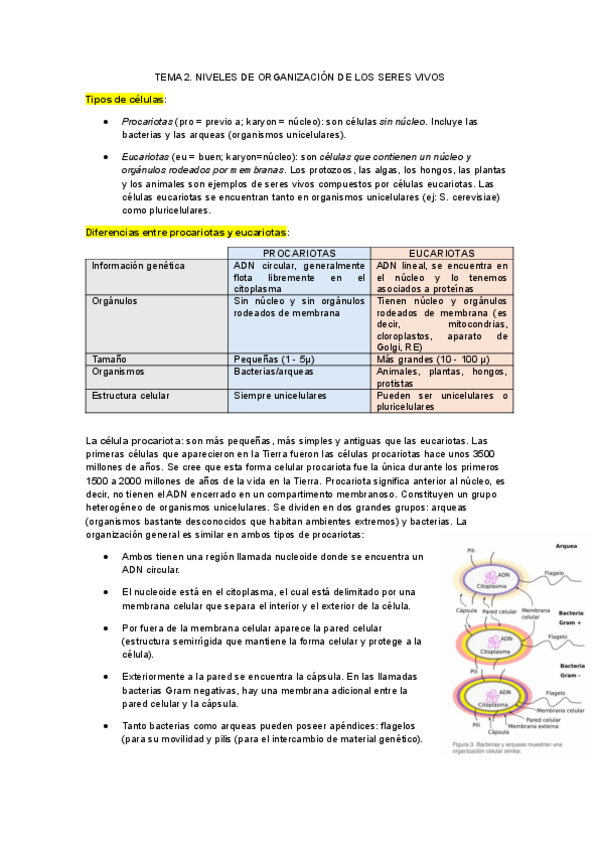 Miniatura del documento Tema-2.-Niveles-de-organizacion-de-los-seres-vivos.pdf