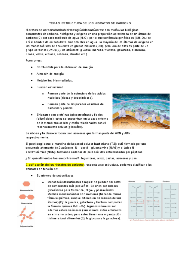 Miniatura del documento Tema-3.-Estructura-de-los-hidratos-de-carbono.pdf