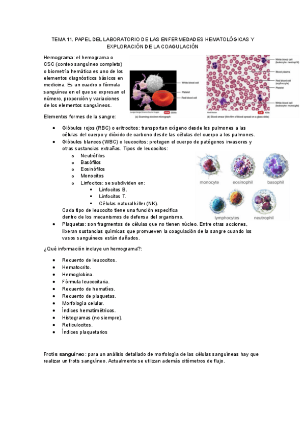 Miniatura del documento Tema-11.-Papel-del-laboratorio-de-las-enfermedades-hematologicas-y-exploracion-de-la-coagulacion.pdf
