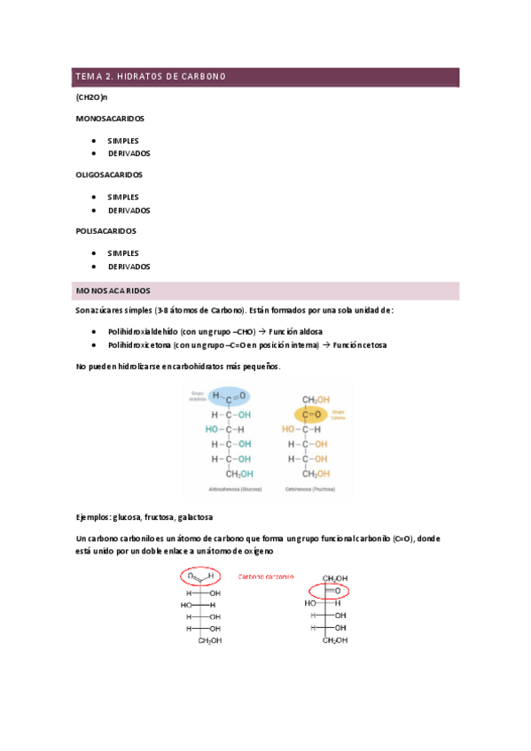 Miniatura del documento Tema-2.-Hidratos-de-Carbono.pdf