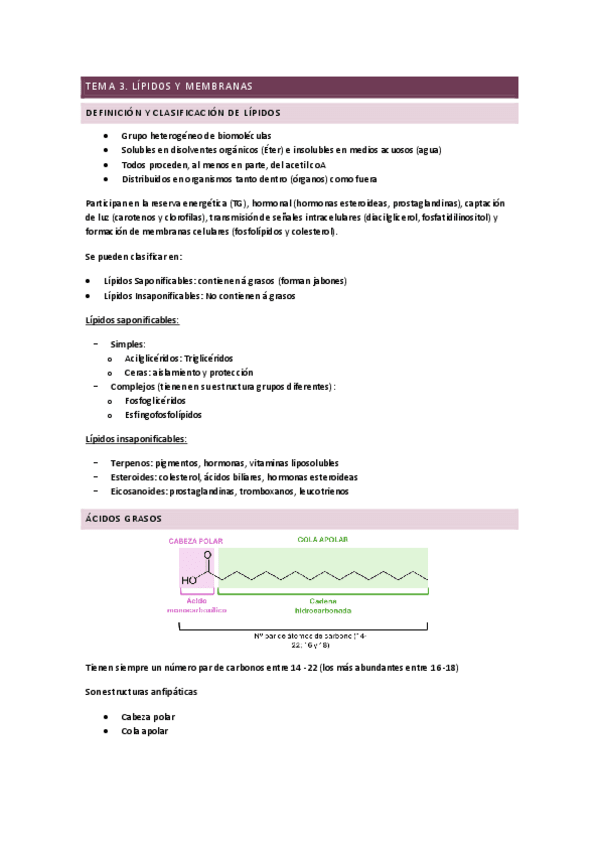 Miniatura del documento Tema-3.-Lipidos-y-membranas.pdf
