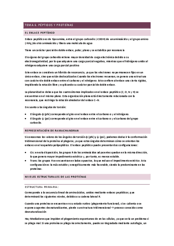 Miniatura del documento Tema-6.-Peptidos-y-Proteinas.pdf