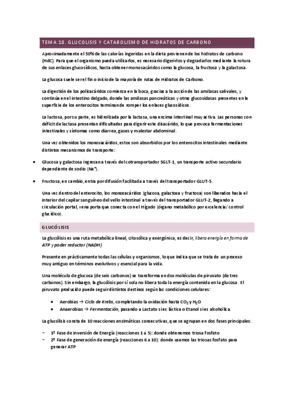 Miniatura del documento Tema-10.-Glucolisis-y-catabolismo-de-HdC.pdf