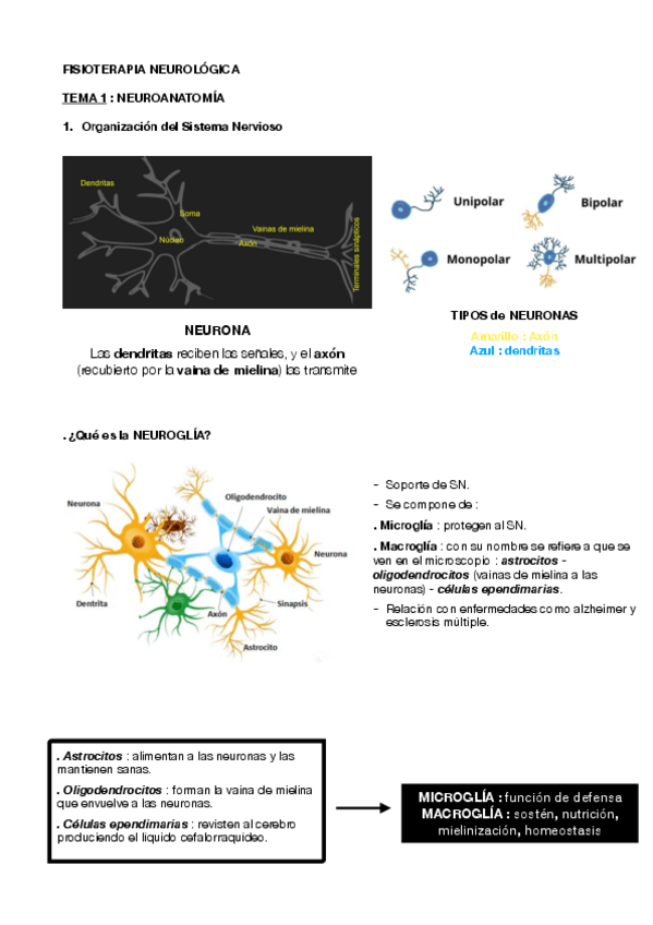 Miniatura del documento TEMA-1-FISIOTERAPIA-NEUROLOGICA.pdf