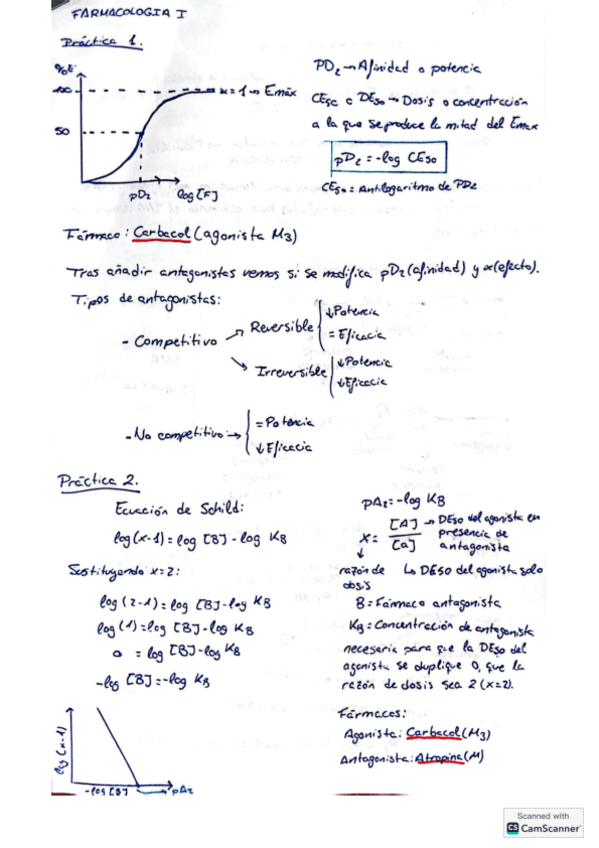 Miniatura del documento Practicas-farma (Nota: 9,3).pdf