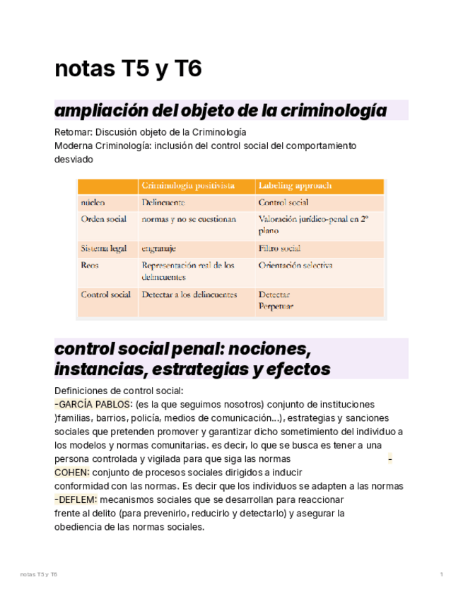 Miniatura del documento NOTAS-T5-Y-T6-INTRO-CRIMI.pdf