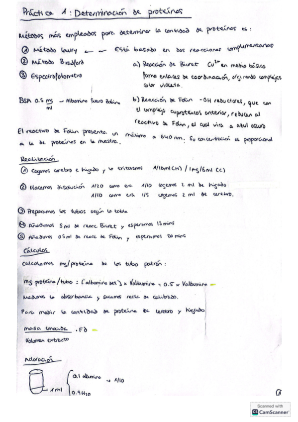 Miniatura del documento apuntes-practicas-1-y-2.pdf