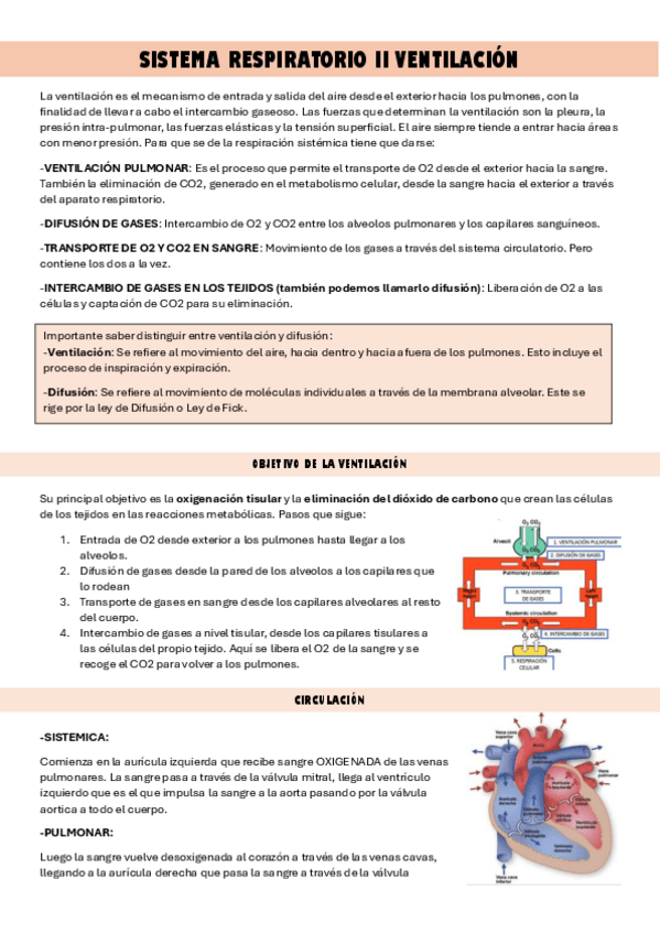 Miniatura del documento sis-respiratorio-2.pdf