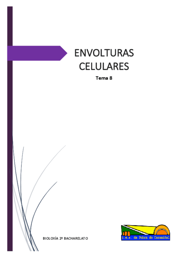 Miniatura del documento BIO-2o-BAC-T8-Envolturas-celulares.pdf