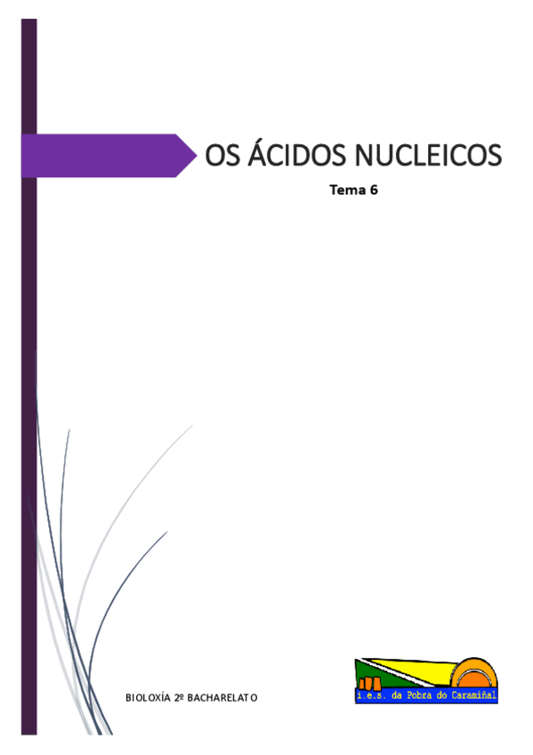 Miniatura del documento T6-Acidos-nucleicos-1.pdf