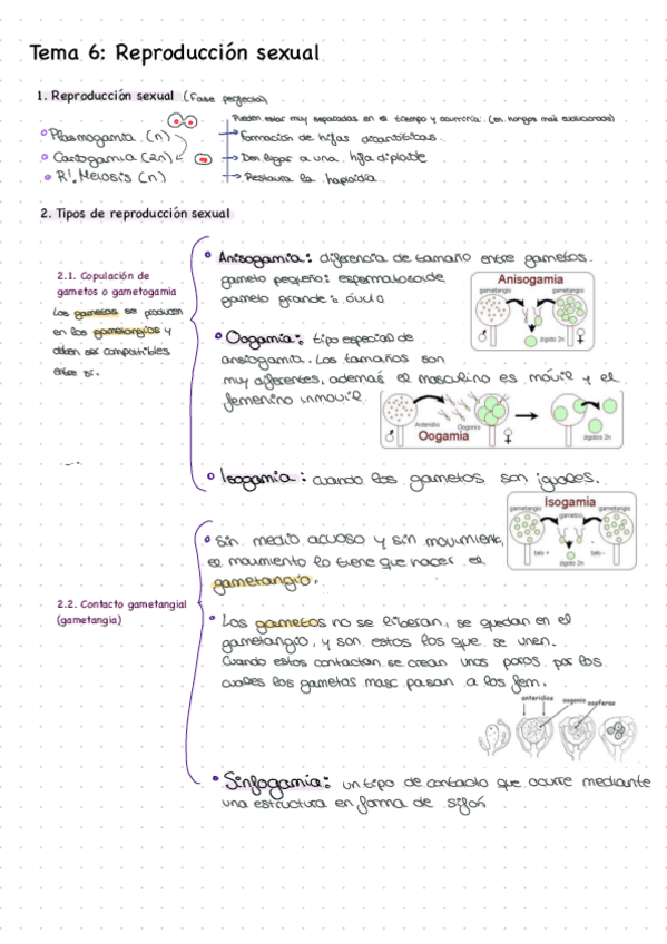 Miniatura del documento tema-6-botanica-I.pdf
