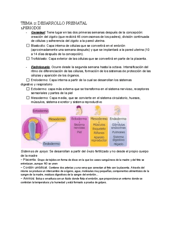 Miniatura del documento Tema-2-Psicologia-del-Desarrollo.pdf