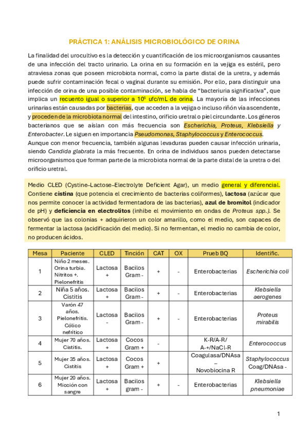 Miniatura del documento micro-clinica-practicas.pdf
