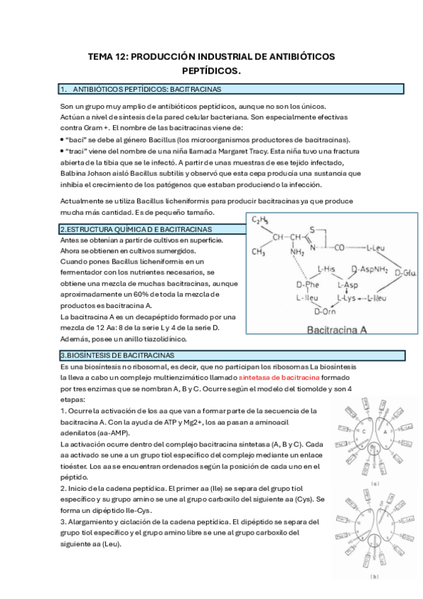 Miniatura del documento TEMA-12-M.pdf
