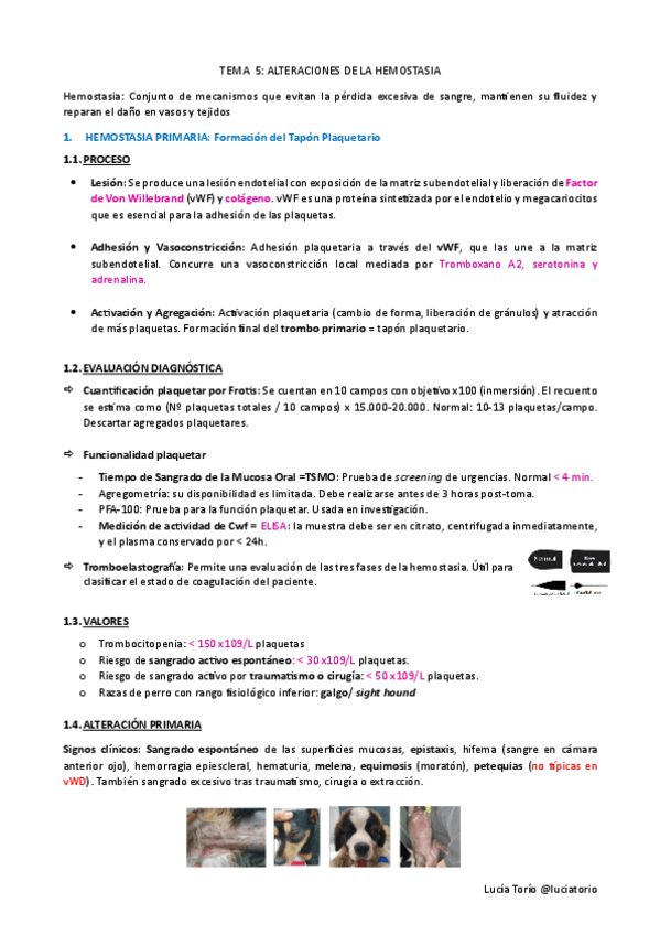 Miniatura del documento IECPA-T5-Alteraciones-hemostasia.pdf