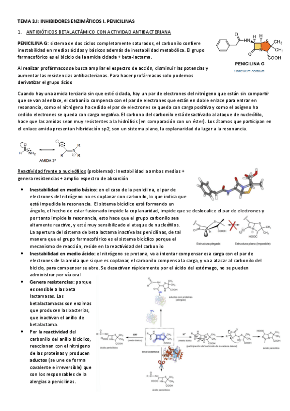 Miniatura del documento TEMA-3.I-INHIBIDORES-ENZIMATICOS.-PENICILINAS.pdf