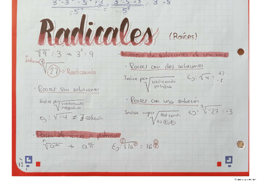 Miniatura del documento Radicales.pdf