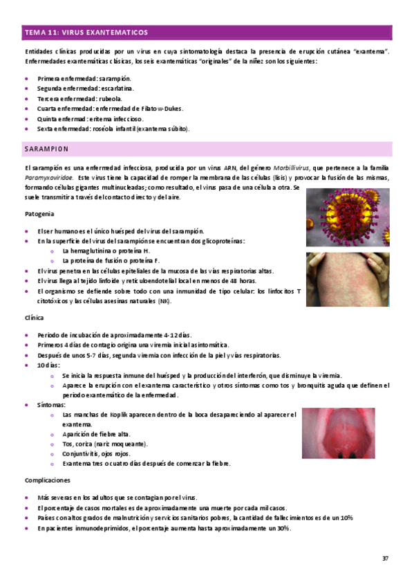 Miniatura del documento MICROBIOLOGIA-CLINICA-APUNTES-tema-10.pdf