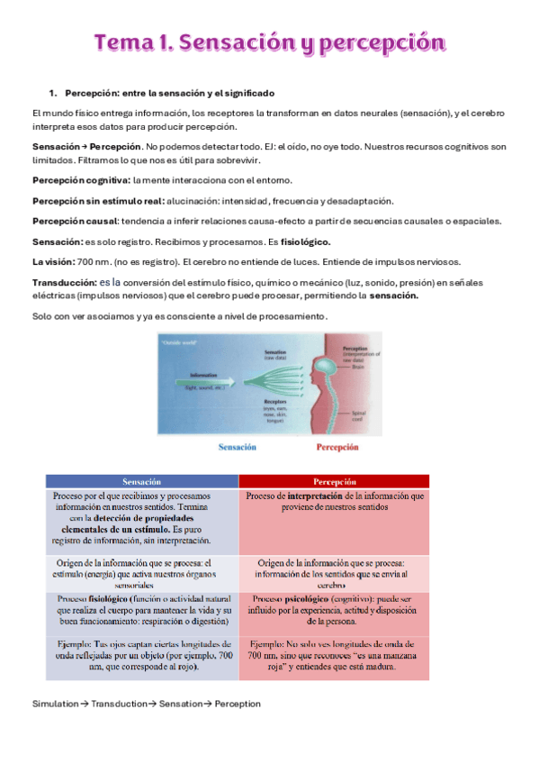 Miniatura del documento Tema-1.-sensacion-y-percepcion.pdf