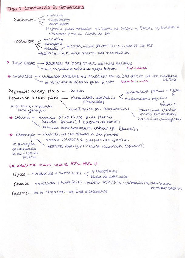 Miniatura del documento Resumen-temas-1-7.pdf