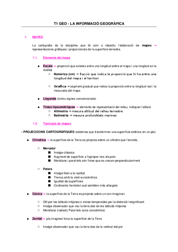 Miniatura del documento T1-Geo-La-Informacio-Geografica.docx