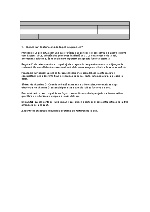 Miniatura del documento uf1nfQActivitats-La-pell-1920.docx.pdf