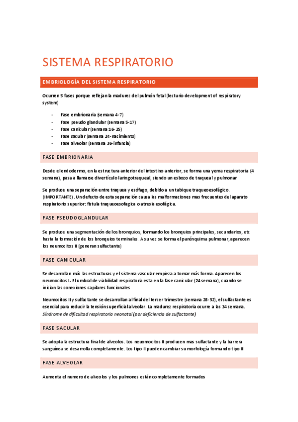 Miniatura del documento RESPI-APUNTES-24-25 TODO ALBA.pdf