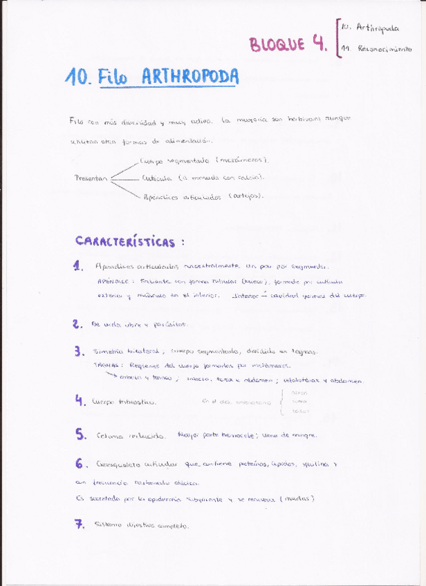 Miniatura del documento 10. Arthropoda (p. 1).pdf