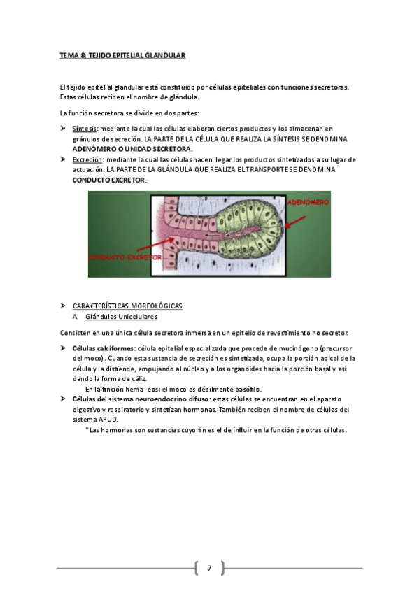 Miniatura del documento TEMA-8.pdf