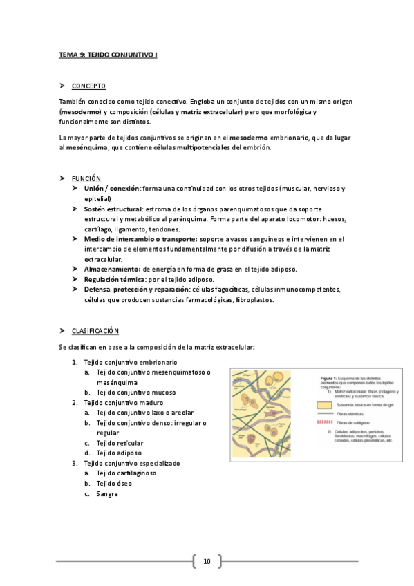 Miniatura del documento TEMA-9.pdf