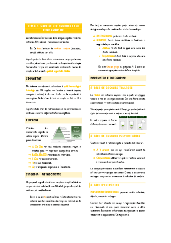 Miniatura del documento Tema-6-usos-de-les-drogues-i-els-seus-principis.pdf