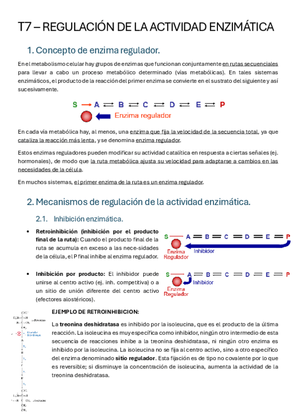 Miniatura del documento T7-REGULACION-ENZIMATICA.pdf