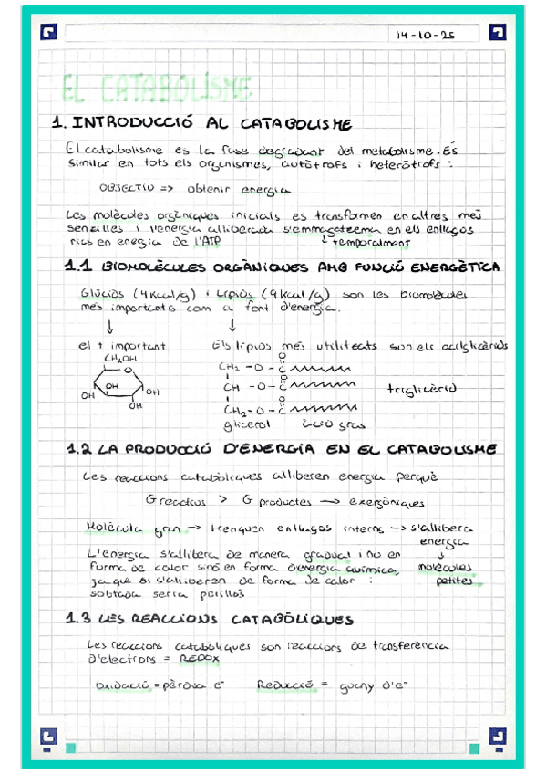 Miniatura del documento Tema-2-Catabolismo-Bachillerato-2.pdf