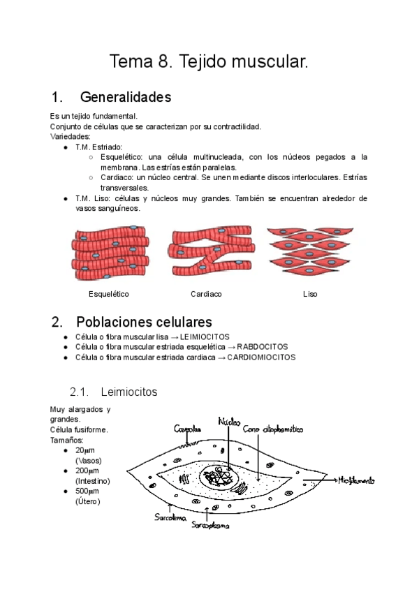 Miniatura del documento Tema-8.-Tejido-muscular.pdf