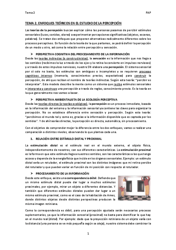 Miniatura del documento TEMA-2.pdf
