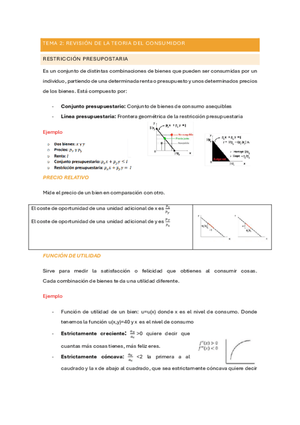 Miniatura del documento TEMA-2-REVISION-DE-LA-TEORIA-DEL-CONSUMIDOR.pdf