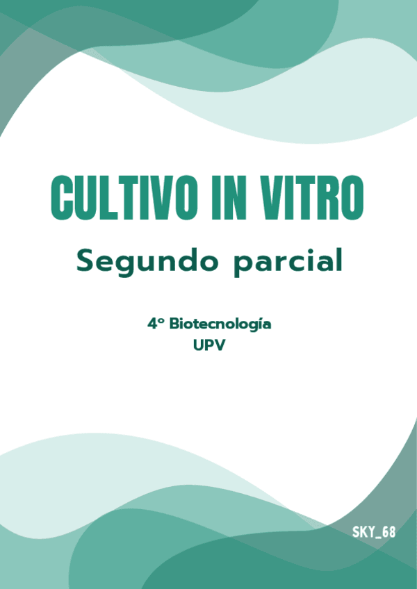 Miniatura del documento Segundo-parcial-CiV.pdf