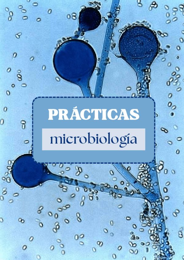 Miniatura del documento PRACTICAS-MICRO-B1.pdf